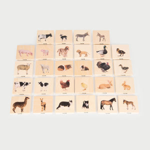Domestic Animal Family Match