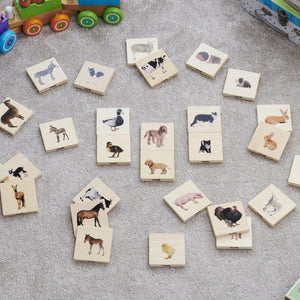 Domestic Animal Family Match