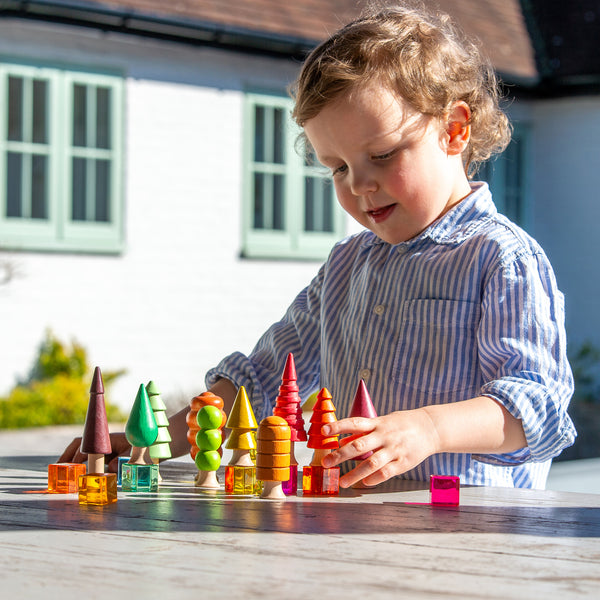 Seasonal Woodland Trees