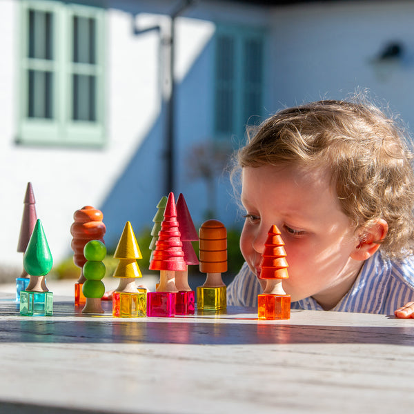 Seasonal Woodland Trees