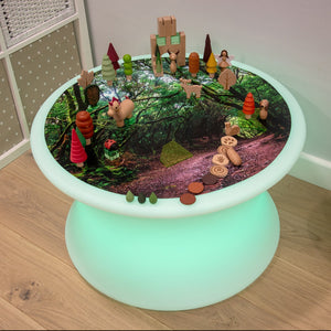 Forest Discovery Play Mat