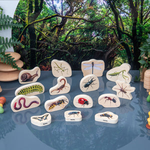 Wooden Minibeast Blocks
