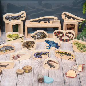 Wooden Reptile & Amphibian Blocks