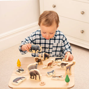 Wooden Wild Animal Blocks
