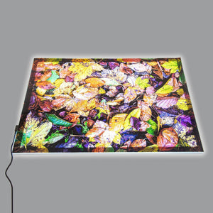 A2 Colour Changing Light Panel & Play Mat Bundle