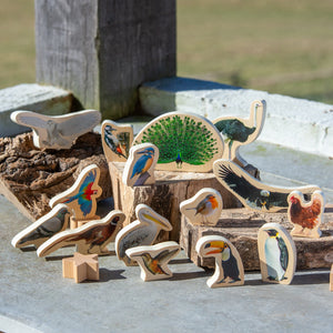 Wooden Bird Blocks