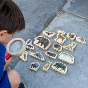 Wooden Forest Animal Blocks