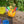 Translucent Colour Discovery Pots