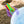 Translucent Colour Discovery Pots