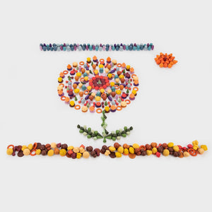 Wooden Treasures Super Set