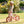 Whizz Balance Bike - Pink