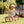 Whizz Balance Bike - Pink