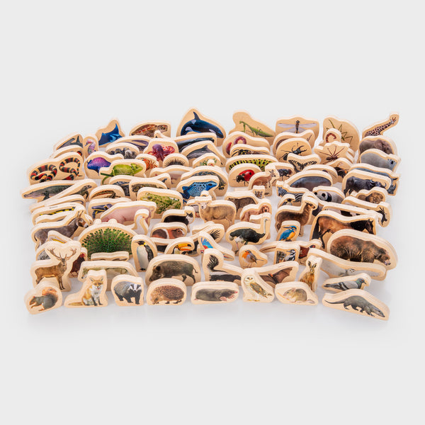 Wooden Animal Blocks Bundle