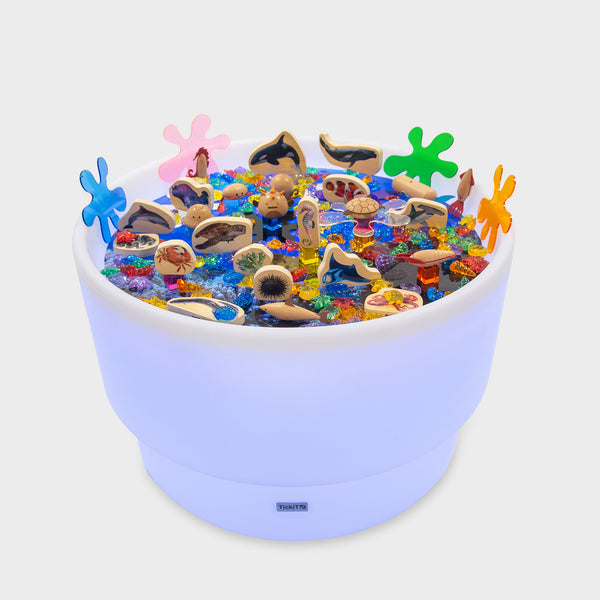 Discovery Sea Table Bundle