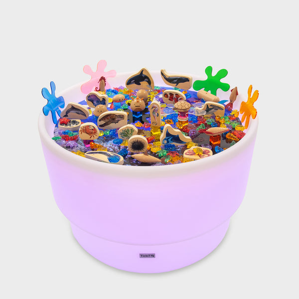 Discovery Sea Table Bundle
