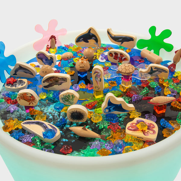 Discovery Sea Table Bundle