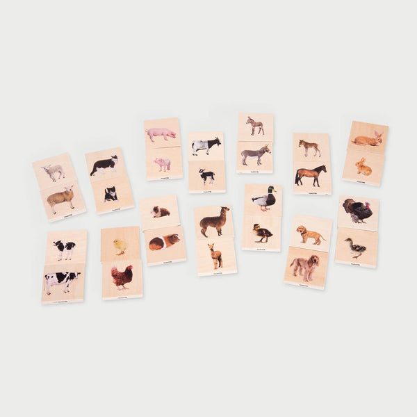 Domestic Animal Family Match